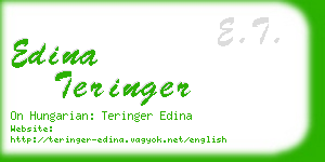 edina teringer business card